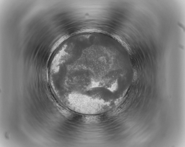 X0000094961274200712271712