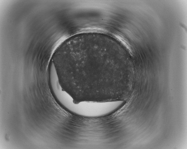 X0000094961275200712271712