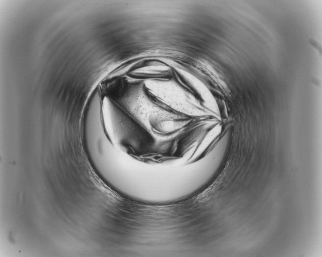 X0000094961276200712271712