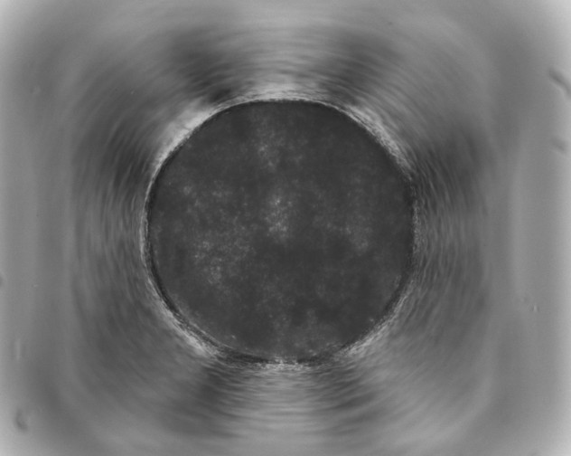 X0000094961277200712271712