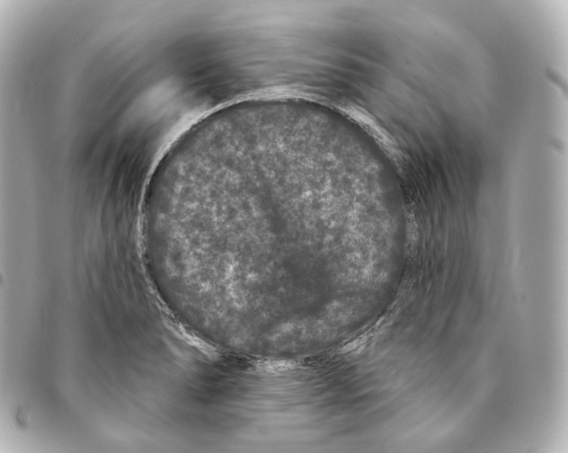 X0000094961278200712271712