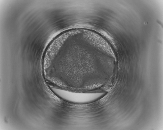 X0000094961280200712271712