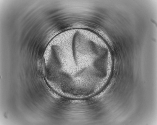 X0000094961281200712271712
