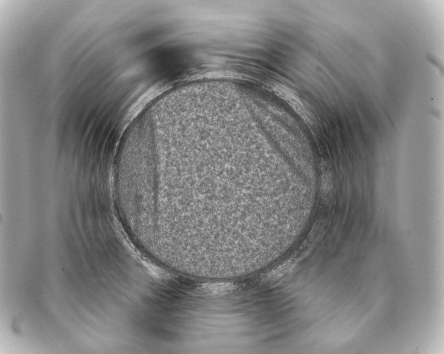 X0000094961282200712271712