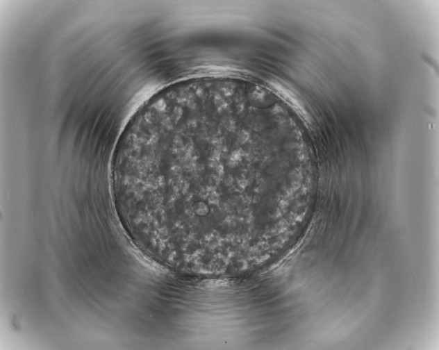X0000094961283200712271712