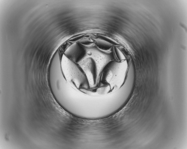 X0000094961284200712271712