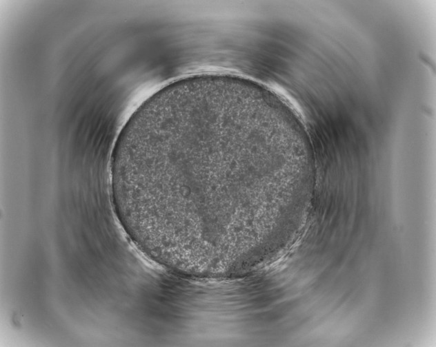 X0000094961287200712271711