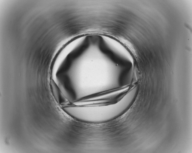 X0000094961288200712271711