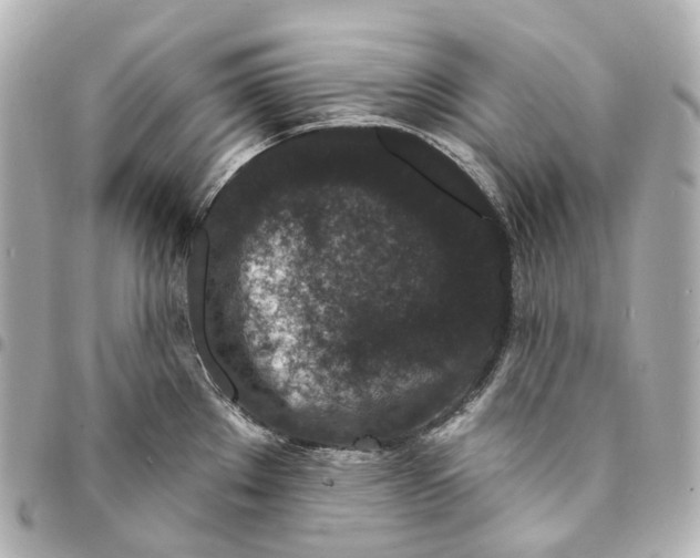 X0000094961289200712271711