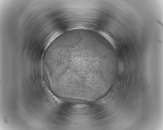 X0000094961290200712271711