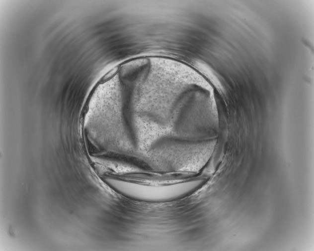 X0000094961292200712271711