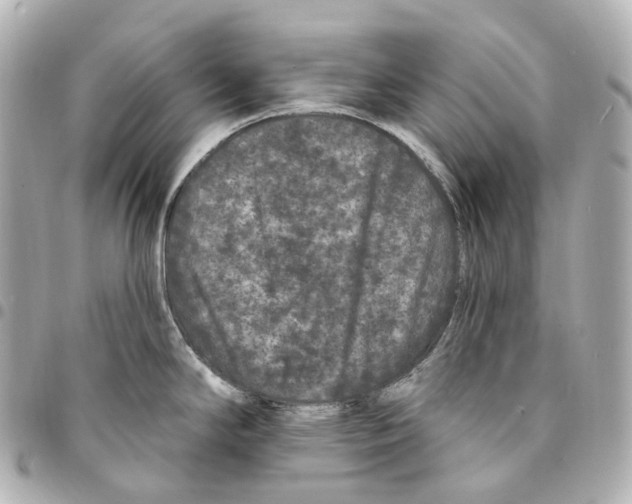 X0000094961294200712271711
