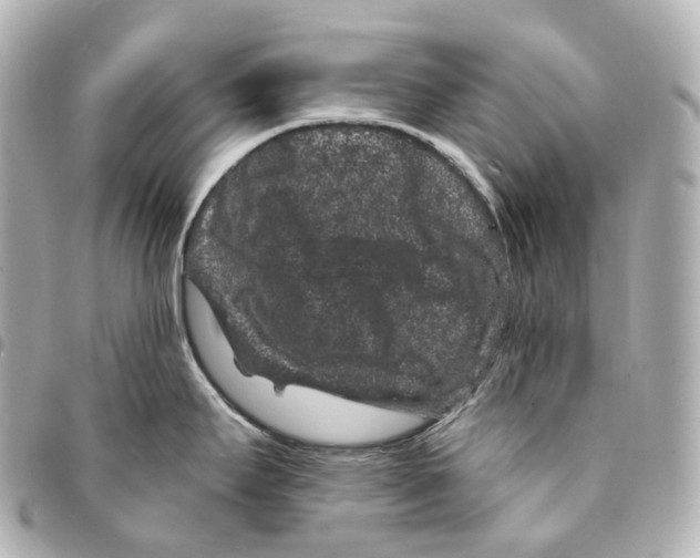 X0000094961295200712271711