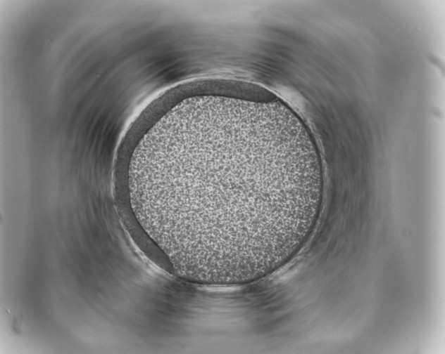 X0000094961296200712271711