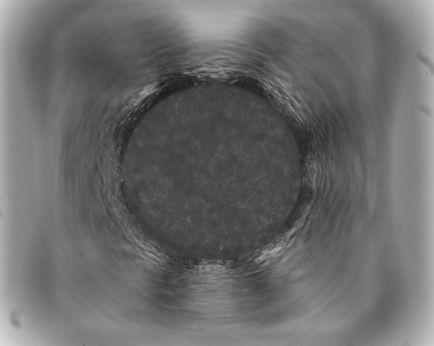 X0000094961297200712271711