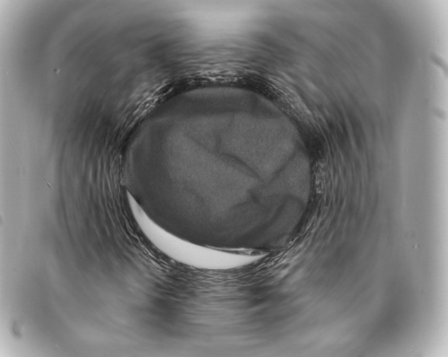 X0000094961298200712271711