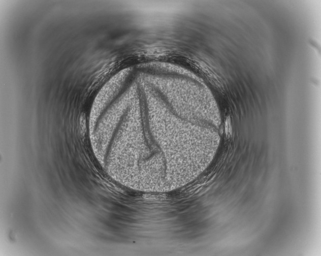X0000094961299200712271711
