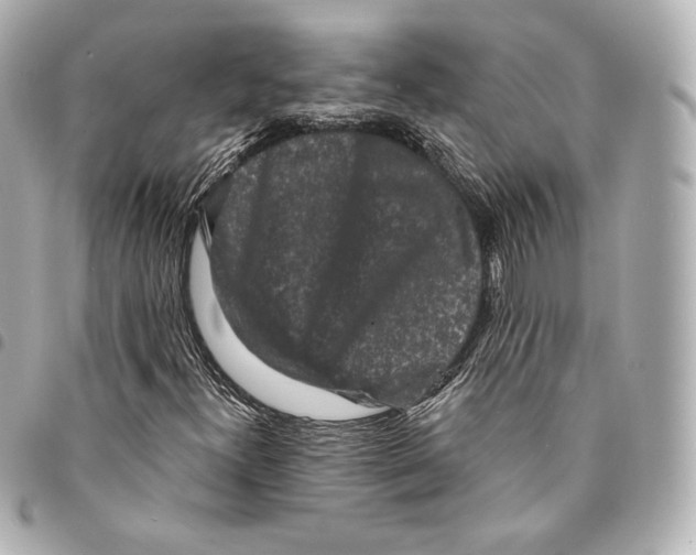 X0000094961300200712271711
