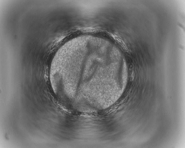X0000094961301200712271711