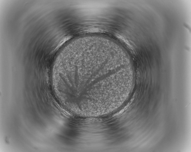 X0000094961305200712271711