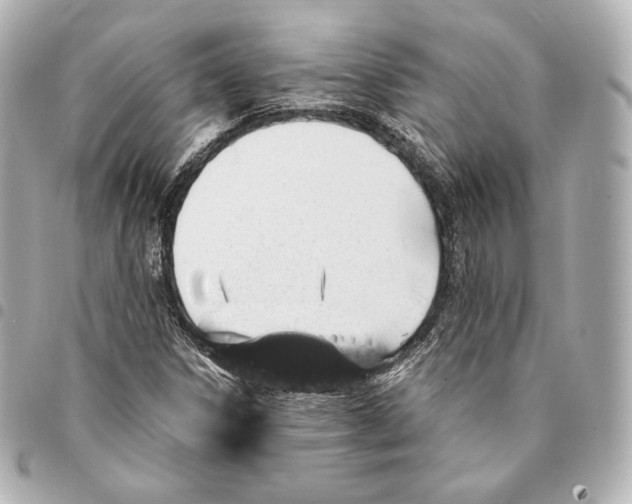 X0000094961306200712271711