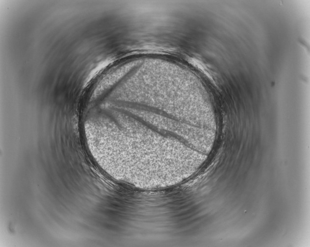 X0000094961307200712271711