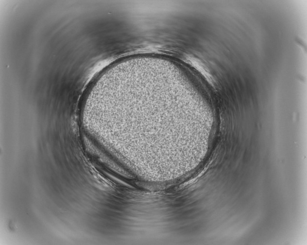 X0000094961308200712271711