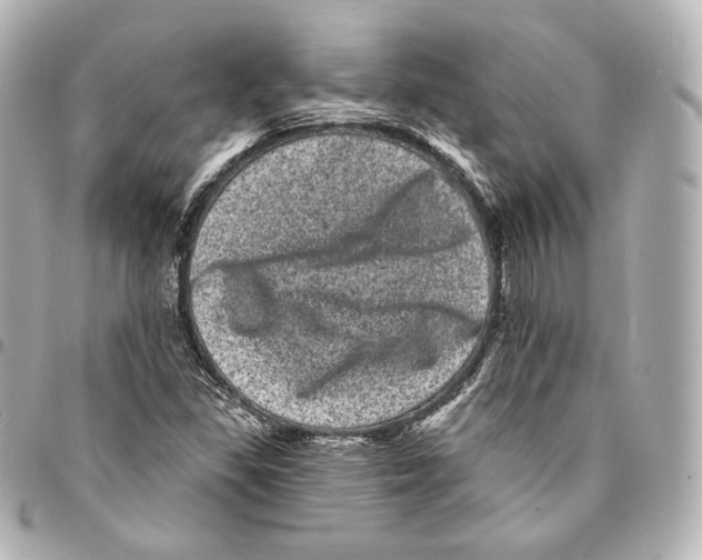 X0000094961309200712271711
