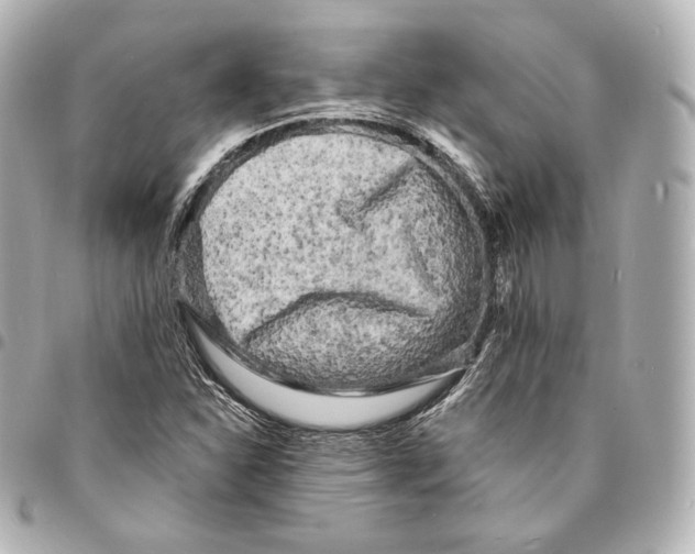 X0000094961310200712271711