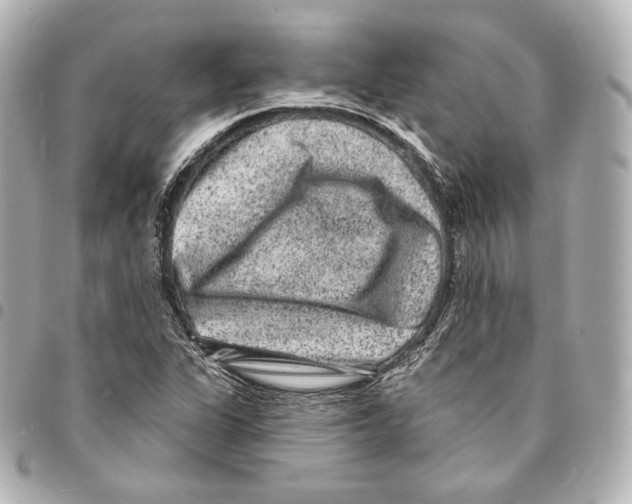 X0000094961311200712271711