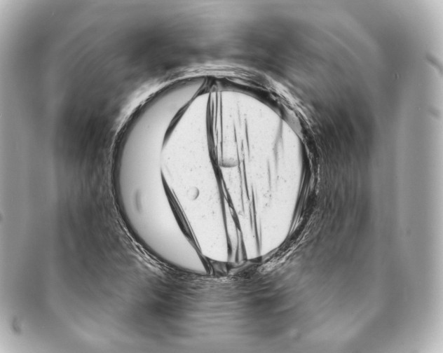 X0000094961312200712271711