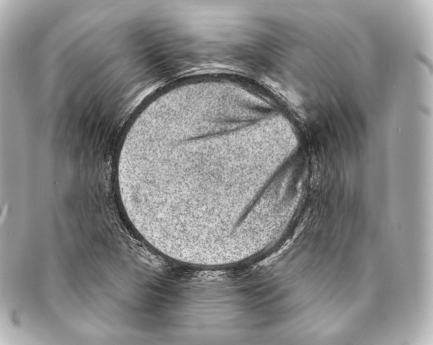 X0000094961313200712271711