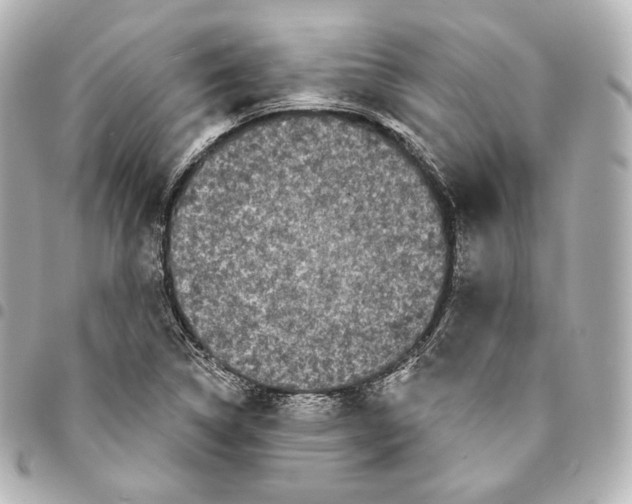 X0000094961314200712271711