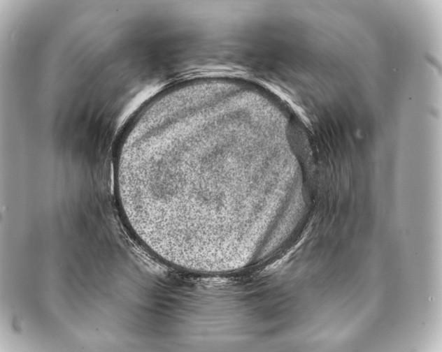 X0000094961317200712271711