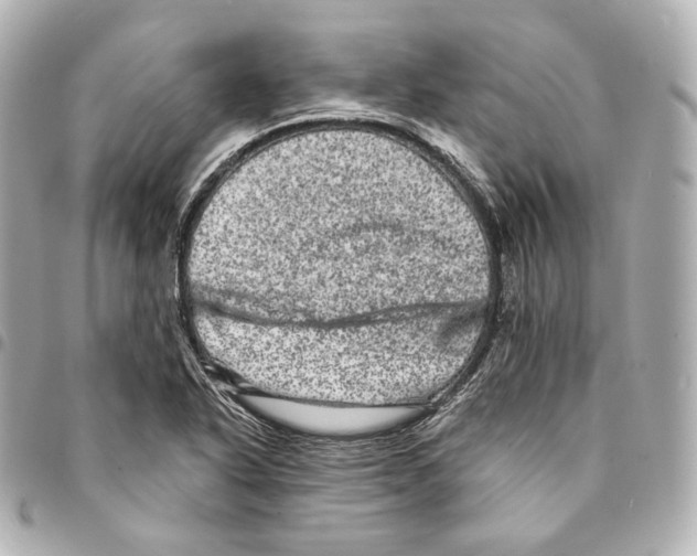 X0000094961318200712271711