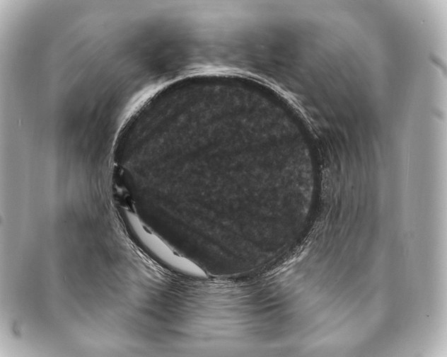 X0000094961319200712271711