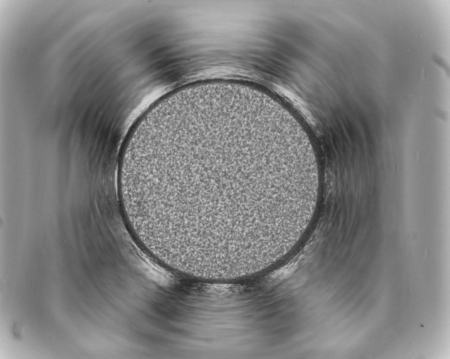 X0000094961322200712271711
