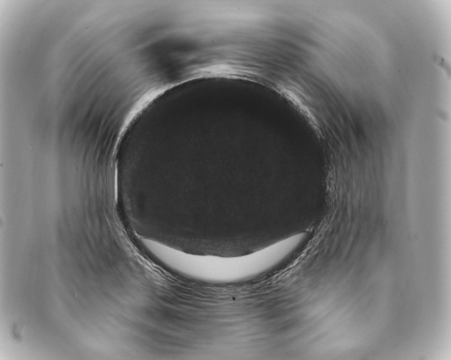 X0000094961323200712271711