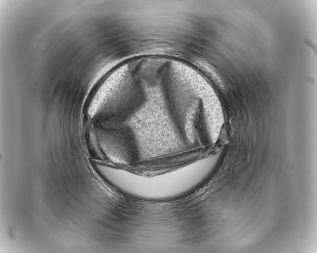 X0000094961324200712271711