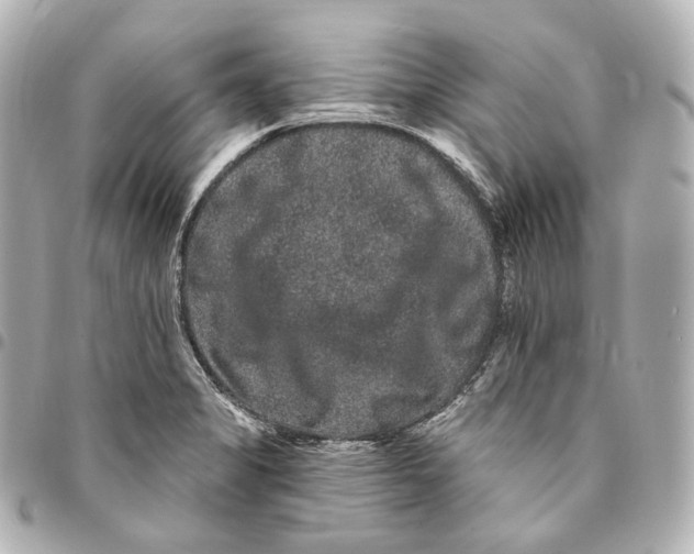 X0000094961325200712271711