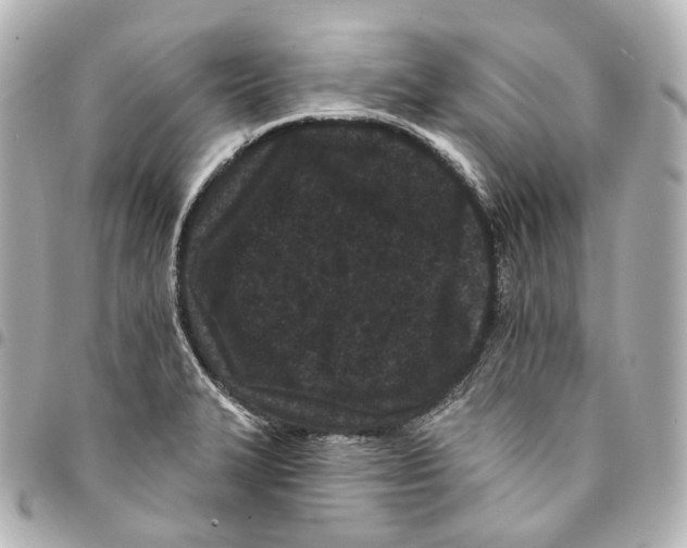 X0000094961327200712271711