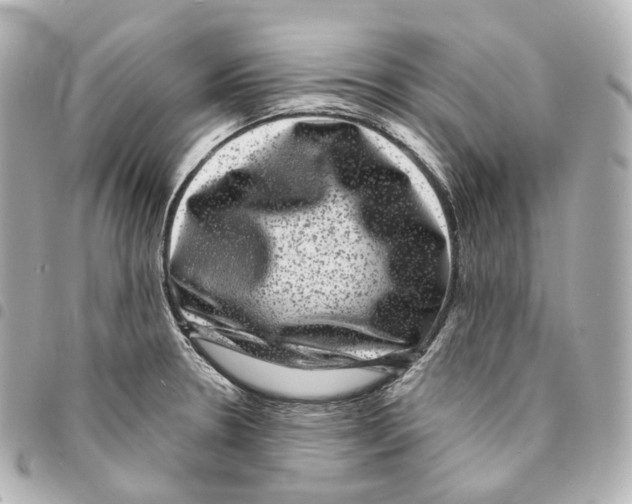 X0000094961330200712271711