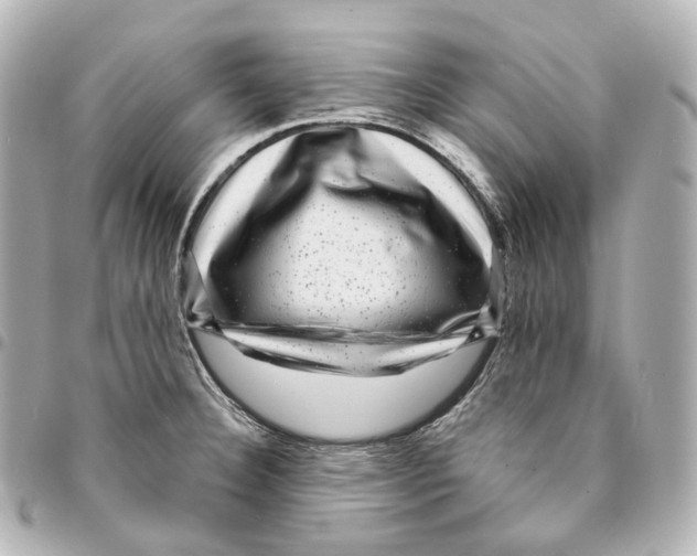X0000094961332200712271711