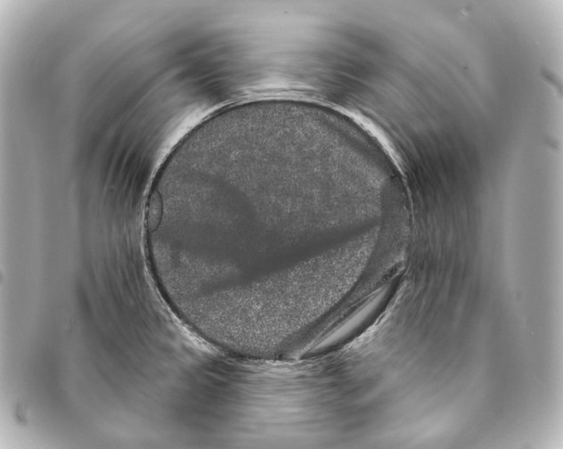 X0000094961333200712271711