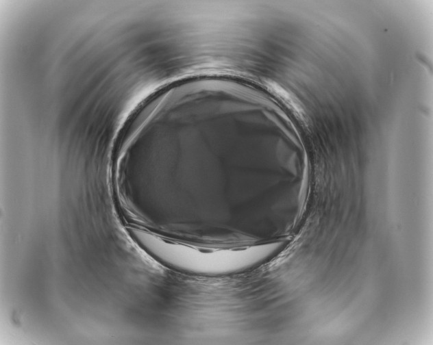 X0000094961334200712271711