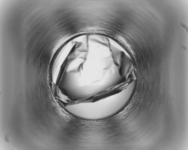 X0000094961336200712271711