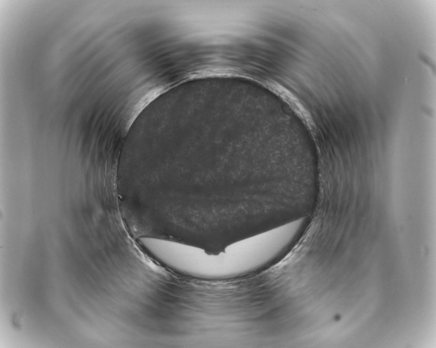 X0000094961337200712271711