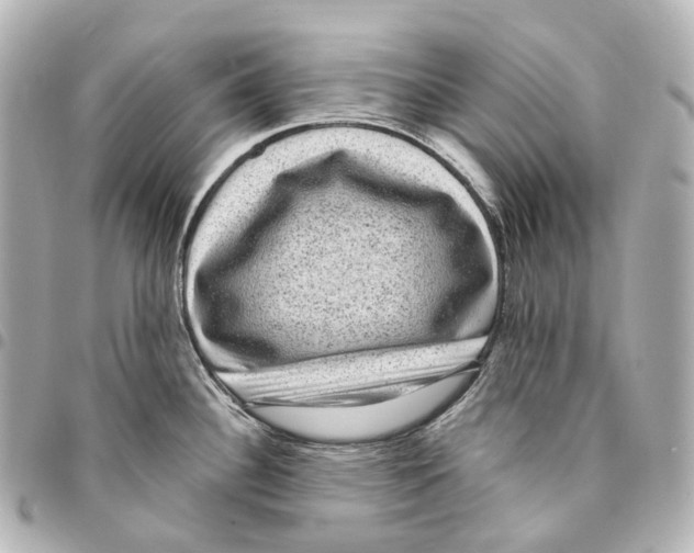 X0000094961340200712271711