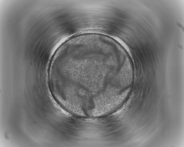 X0000094961341200712271711