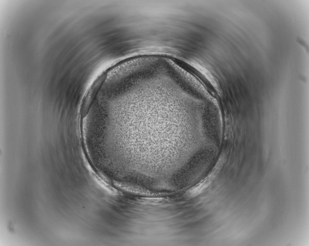 X0000094961342200712271711